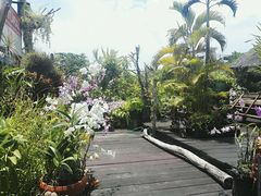 -自然餐厅(Phuket)