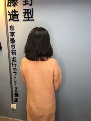 -藤野造型
