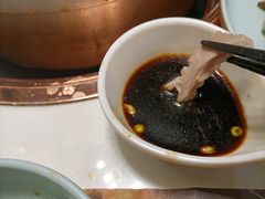 -洪氏嗨捞·猪肚鸡火锅(阳光天地店)