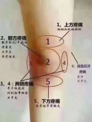 -香薇妮丝·定制减肥·身材管理