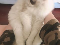 -纽斯桑拿会所(东绣路店)