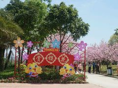 -天适樱花悠乐园