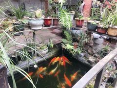 -寮步香市古镇休闲景区