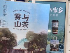 -雾与山茶(大禹城店)
