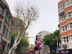 -巴公房子