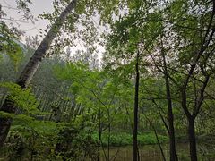 -白河堡水库