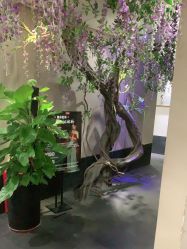 -盘子女人坊生日照·摄影馆(华强店)