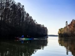 -上海海湾国家森林公园