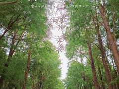 -尚湖风景区