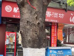 -泸州老窖景区