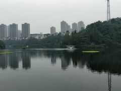 -重庆彩云湖湿地公园