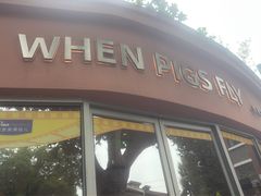 -WHEN PIGS FLY当猪飞