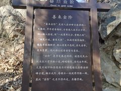 -阳台山自然风景区