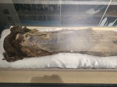 -巴音郭楞蒙古自治州博物馆