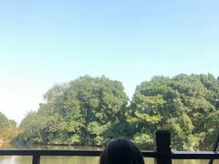 -张鸟园农家乐(张鸟园店)