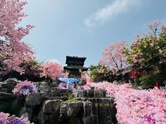 -茅山东方盐湖城景区