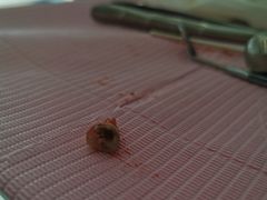 -马泷齿科·成都锦江置略马泷口腔门诊部(IFS国金中心店)