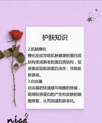 点击看大图 -玛莲朵·海菲秀冰珀科