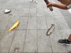 -京北渔家傲
