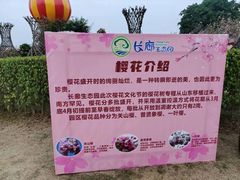 -长廊欢乐园