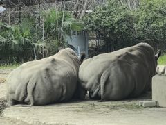 -宁波野生动物园