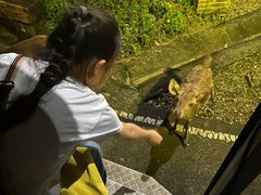-清迈夜间动物园