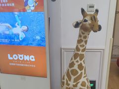 -龙格亲子游泳俱乐部(泊富中心)