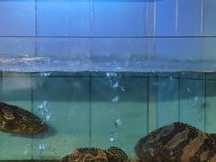 水产区-潮福城大酒楼(湖滨北路店)