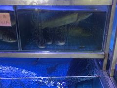 -八仔大富楼·河鲜(西江店)