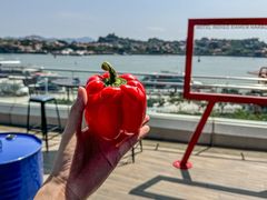 -厦门海港英迪格酒店(中山路店)