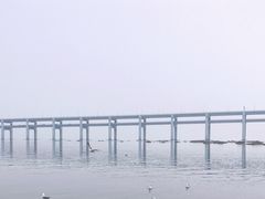 -黑石礁公园