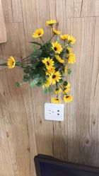 -韩国淼美颜皮肤管理官方直营店