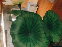 -荷塘秋月·本帮江浙菜(国权路店)