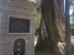 -黄帝陵