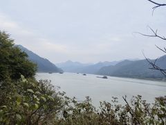 -羚羊峡古栈道森林公园