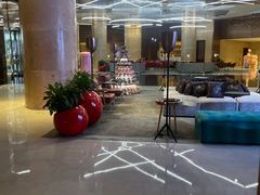 -南京禄口机场雅高铂尔曼大酒店