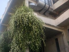 -广州市紫泥堂文化创意园景区