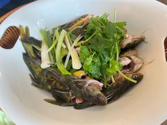 黄腊丁-野山舂·贵州现舂酸汤牛肉(民生路店)