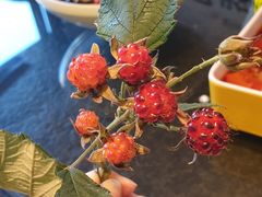 -马路边上·小海鲜烧烤(八一路店)