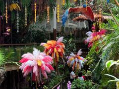 -正佳雨林生态植物园