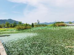 -东钱湖水上乐园(南门)