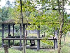 -中国大熊猫保护研究中心雅安碧峰峡基地