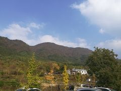 -塔川景区