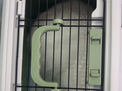 -爱洗澡的猫(望京店)