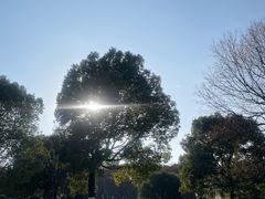 -南京市江宁方山