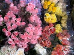 -循礼门鲜花花市(武汉循礼门店)