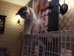-Tipsy Bar•屋顶露台酒吧&水烟吧