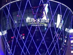 -鹏欣水游城