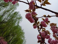 -回龙观体育文化公园