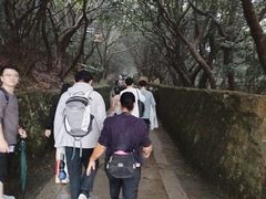 -普陀山慧济禅寺